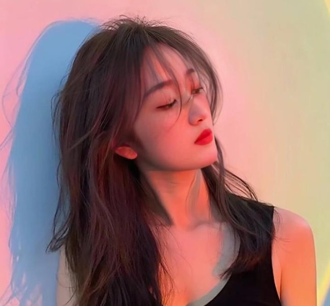 猫和老鼠：回到奥兹