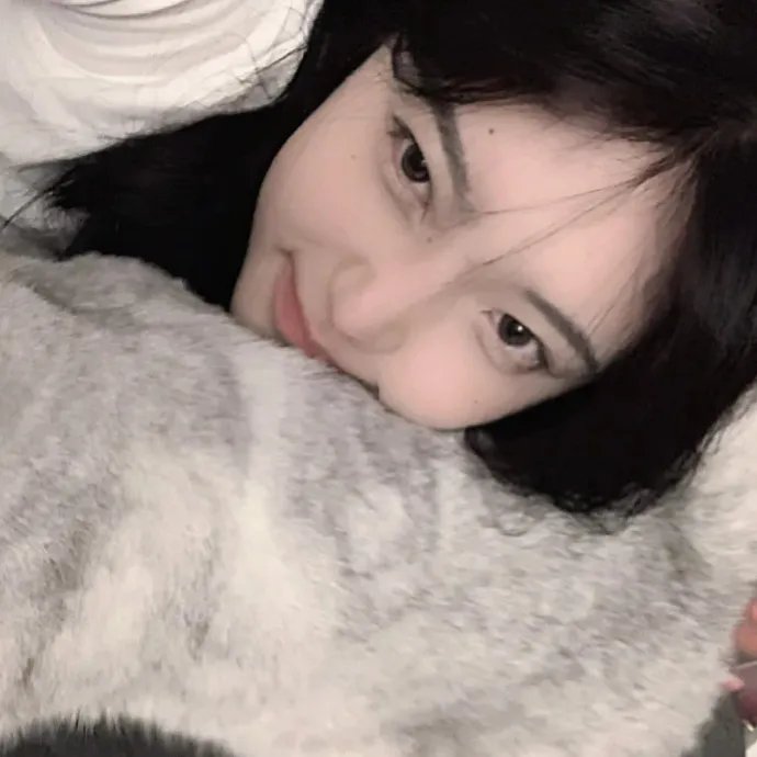 傲骨之战第一季